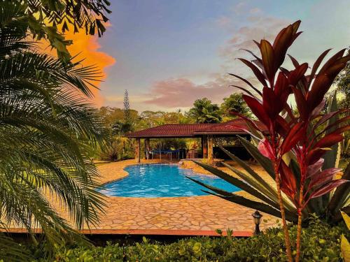 . Amazing House Paradise