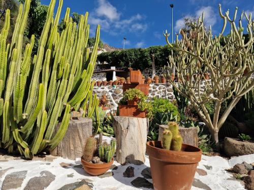 Historica Casa con vistas al Jardin de Cactus y montanas Entire house (Gran  Canaria) - Deals, Photos & Reviews