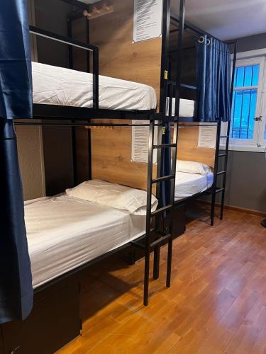 Hostel Estrella 20 Room Type - Bunk Bed in Female Dormitory Room  