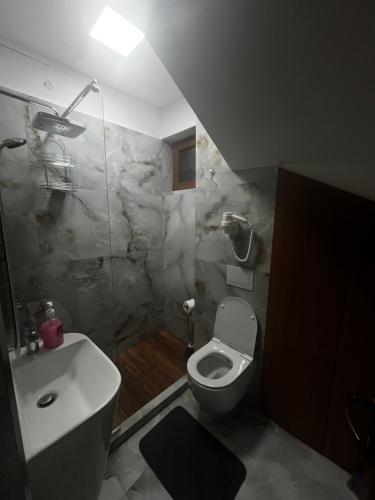 Vila Denis, Sinaia (fotografie 6)