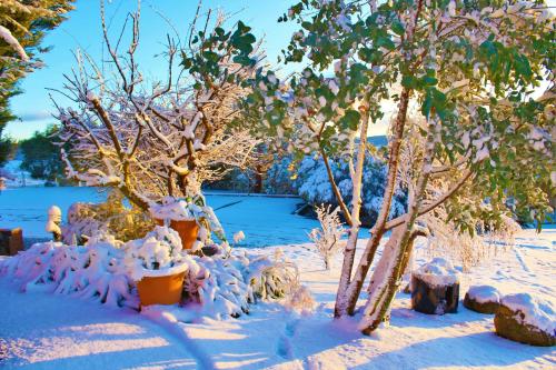 Panorama Jindabyne