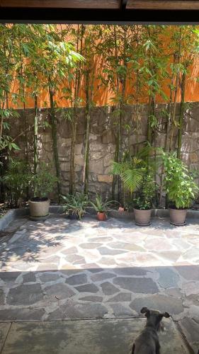 Casa MAGIA in อิกนาซิโอ รามิเรซ