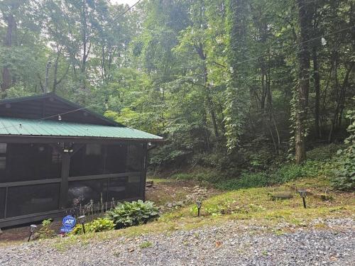 40 minutes to Gatlinburg, mountain hideaway in Cosby (TN)