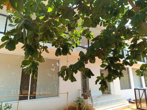 Ecoark Farmstay in Quepem