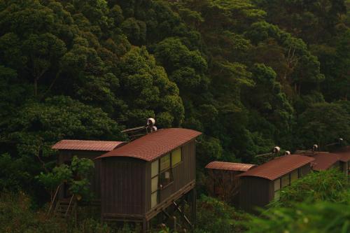 The Rainforest Ecolodge - Sinharaja