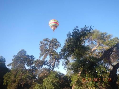 Temecula Wine Country Ranch with 200 year old oaks in Oakridge Ranches, USA