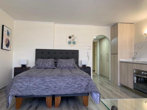Loft con excelente ubicación en Viña del mar - image 3