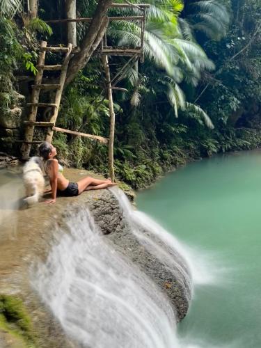 Firefly Treehouse Cafe and Bar Firefly Treehouse Cafe and Bar