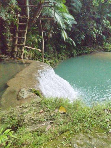 Firefly Treehouse Cafe and Bar Firefly Treehouse Cafe and Bar