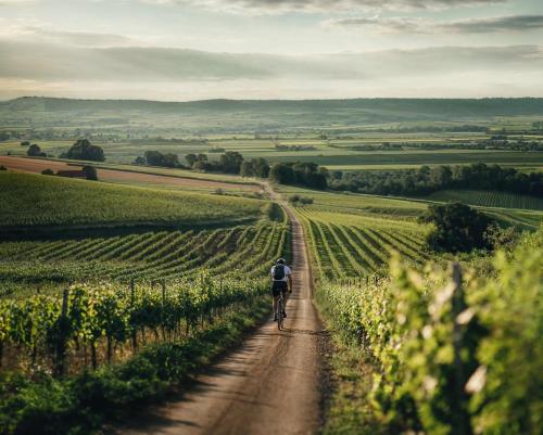 Falkensteiner Balance Resort Stegersbach - Adults only - image 6