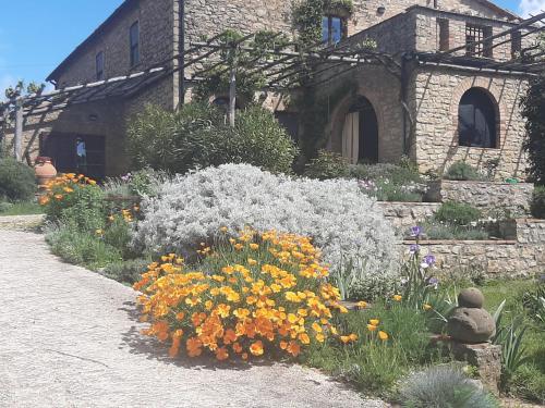 Skats, MIMOSA at Pietraie a nice studio with terrace on the Valley in Montecastelli