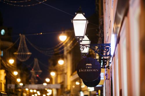 Hotel Jägerhorn - image 12