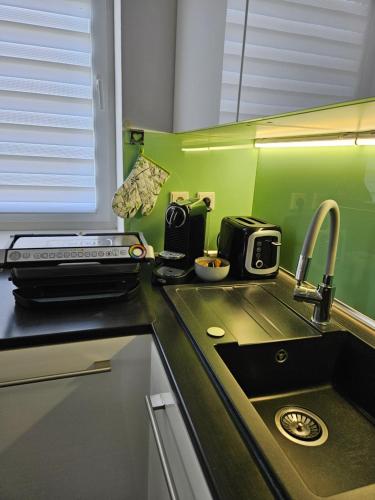 keittiö, Holiday Home Apartment Znojmo in Novy Saldorf-Sedlesovice