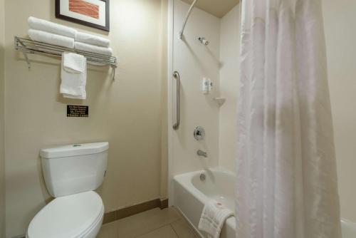 Comfort Inn & Suites Alamosa - image 8