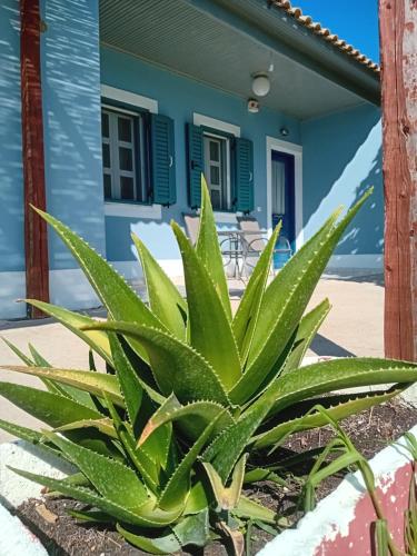 PETROS ROOMS to LET KALOGRIA BEACH