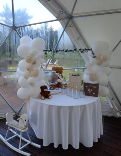 Pavasario Namai & SPA in 阿利圖斯