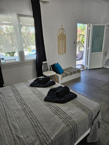 Eris Studios, Adamas (fotografie 4)