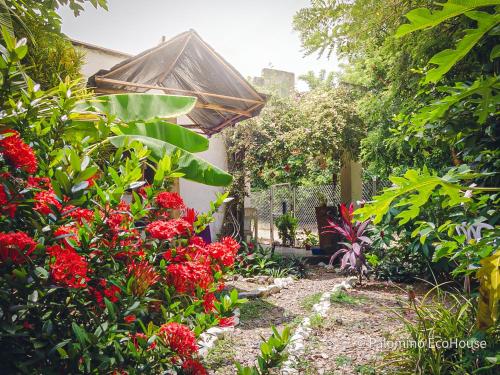 Hostal Palomino EcoHouse & Camping