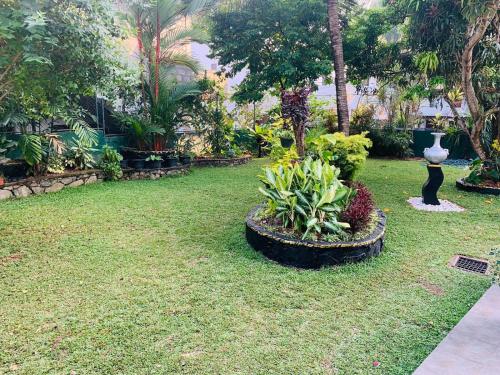 Garden, Elysian home villa in Sri Jayawardenepura Kotte
