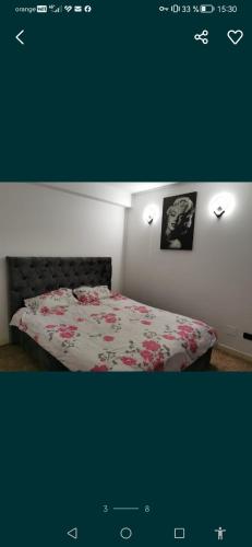 Millegusti apart, Rădăuţi