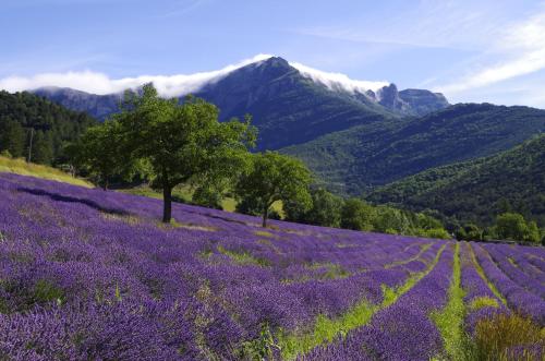 Surrounding environment, Maison de village aux portes du Vercors in Romeyer