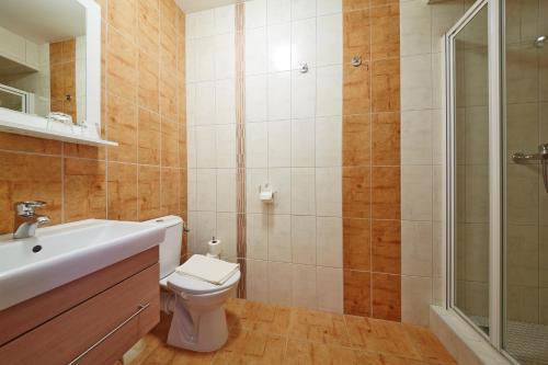 دش, Penzion U Karabiny in Adrspach