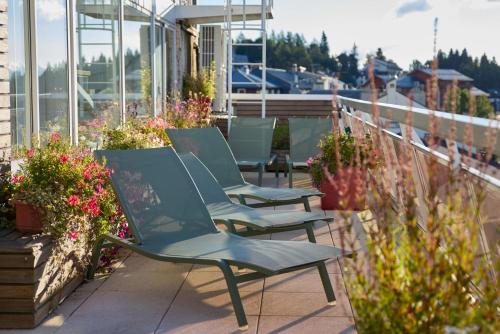 Le Grand Tétras - image 11