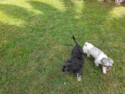 Casa de Piedra - a 2 cuadras del mar - solo familias