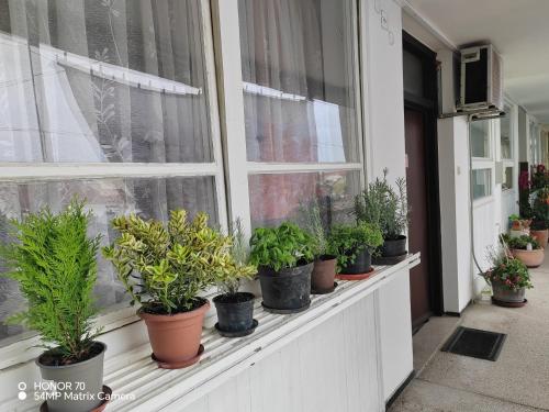 Apartments with parking space Bjelovar, Bjelovarska - 23322 in Bjelovar