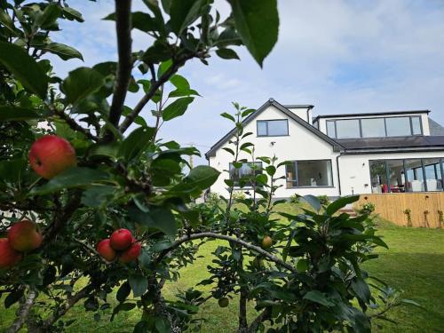 Luxury Seaview, Modern, 6 beds, Mevagissey (foto 4)