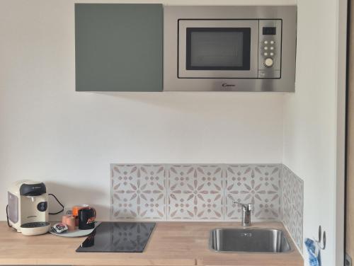 Le repos Alsacien - Location saisonnière - Schiltigheim