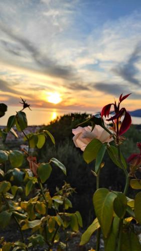 Photo - B&B Relais da Clorinda