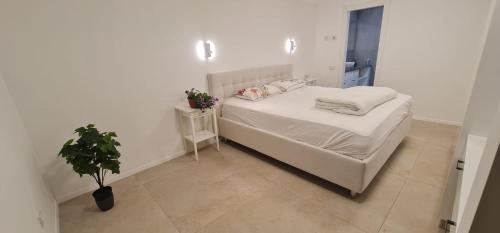 המטרופולו in 凯撒利亚