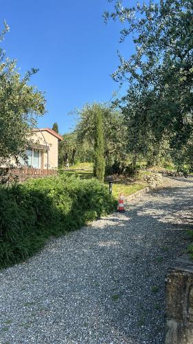Cozy Tuscany apartment with view