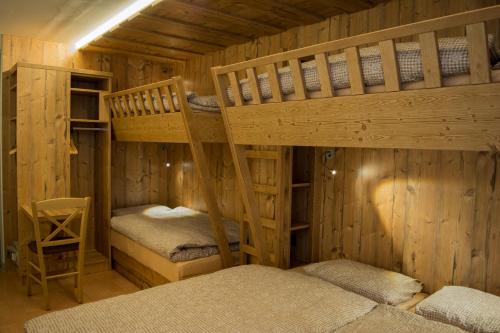 Alpine Classic Hotel - image 4