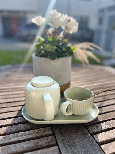Uroczy apartament z ogrodem