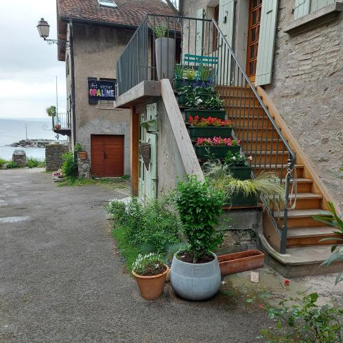 Opaline Yvoire Terrasse avec vue sur le Lac Léman gîte à louer Yvoire