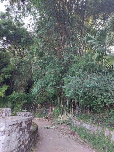 Green Residency Eco-Friendly Rooms for Families Islamabad 