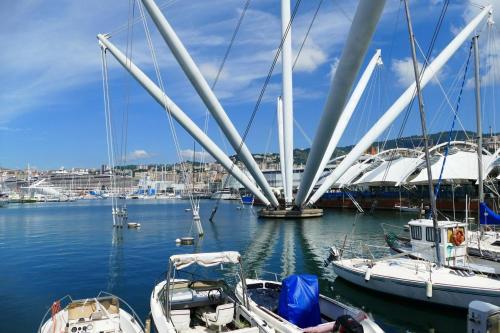 Beautiful Genoa, Janov (fotografie 6)