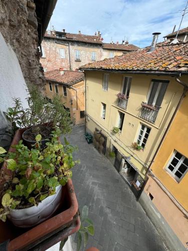 Micheli Suite Anfiteatro Square - image 6