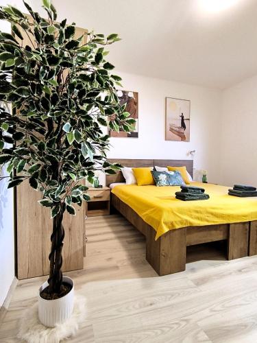 Room 'Šima' with private bathroom and free air-conditioned summer kitchen (Room 'Sima' with private bathroom and free air-conditioned summer kitchen) in Banja