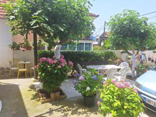 Garden, Vila Duska in Zelenika