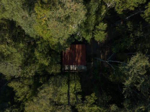 Hermoso Lodge Inserto en Bosque Andino Pucón