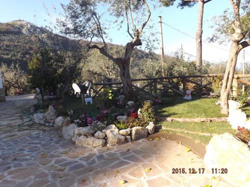 Appartamento Villa degli Ulivi