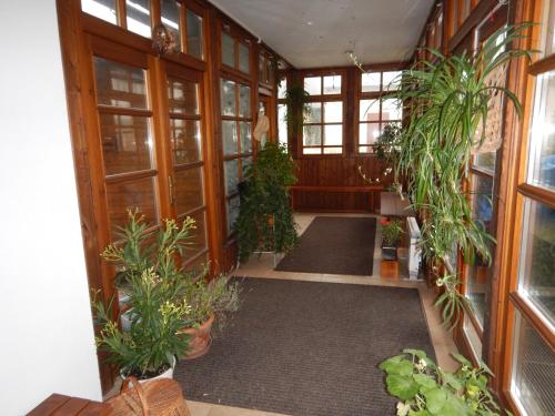Penzion U Hlaváčů - image 13