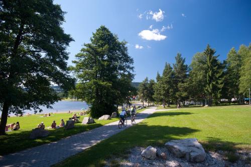 Recreational facilities, Element Residence in Lipno nad Vltavou