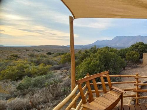 Protea Bush Lodge, Barrydale (fotografie 5)