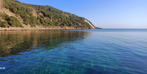 Skats, Caslune in Nefza