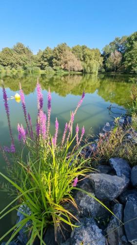 Nearby attraction, Lakeside Luxury Apartman Sarvar in Sarvar