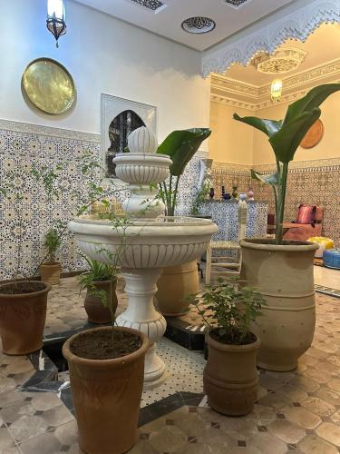 Riad Ramadan House Marrakech 3